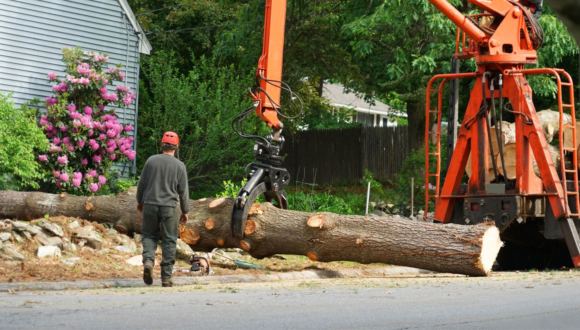 Local partner for Tree removal services in Pensacola