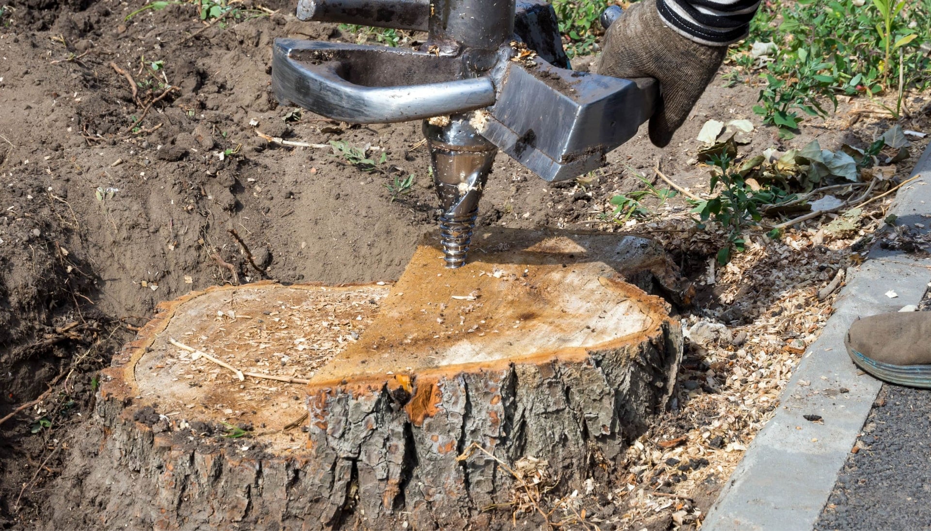 Pensacola Tree stump removal